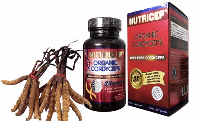 Viên uống Nutricep Organic Cordyceps mang đến nhiều công dụng