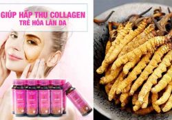 ĐTHT collagen làm đẹp da và bổ dưỡng