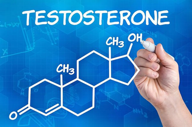 Testosterone - Hormone sinh dục ở nam giới